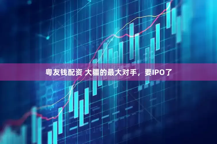粤友钱配资 大疆的最大对手，要IPO了