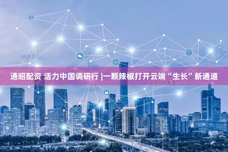 通昭配资 活力中国调研行 |一颗辣椒打开云端“生长”新通道