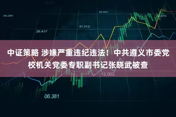 中证策略 涉嫌严重违纪违法！中共遵义市委党校机关党委专职副书记张晓武被查