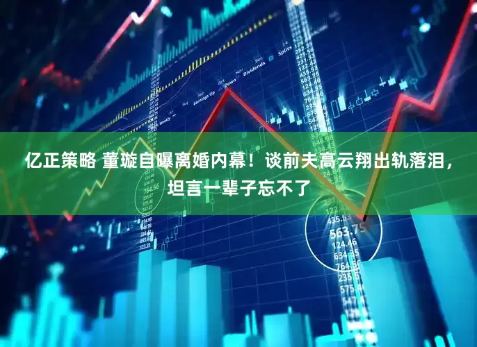 亿正策略 董璇自曝离婚内幕！谈前夫高云翔出轨落泪，坦言一辈子忘不了