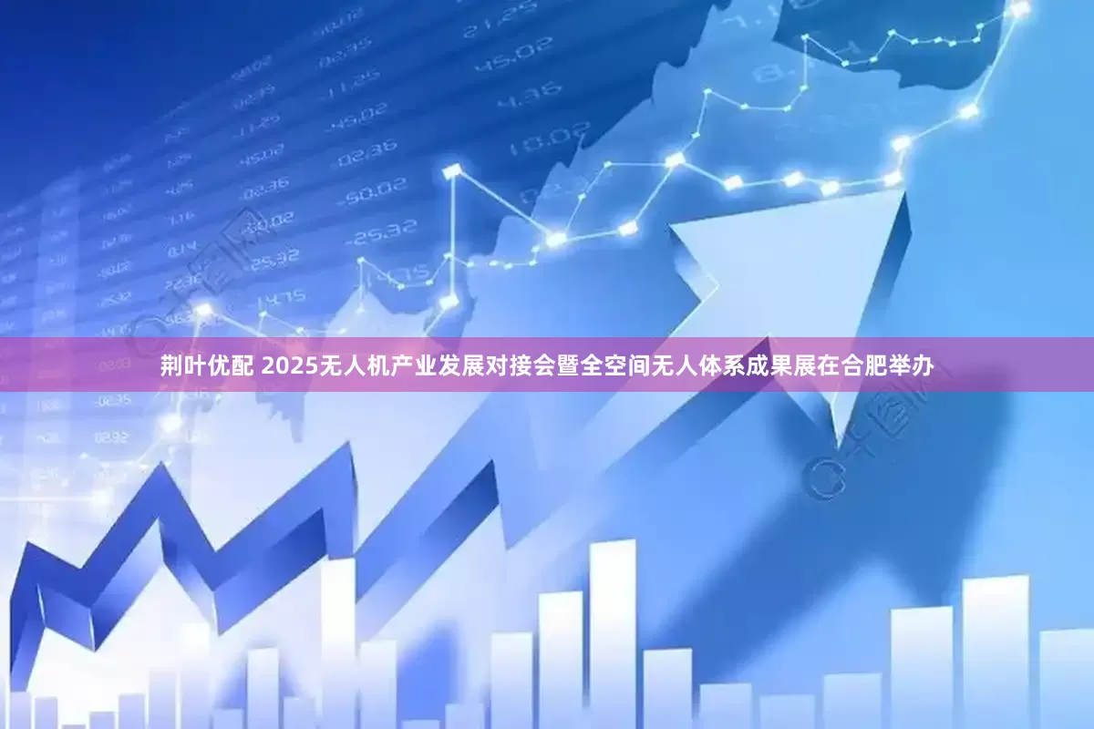荆叶优配 2025无人机产业发展对接会暨全空间无人体系成果展在合肥举办